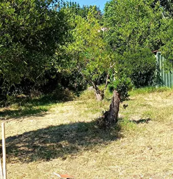 Foto annuncio 17