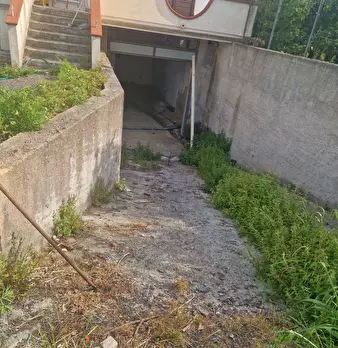 Foto annuncio 9
