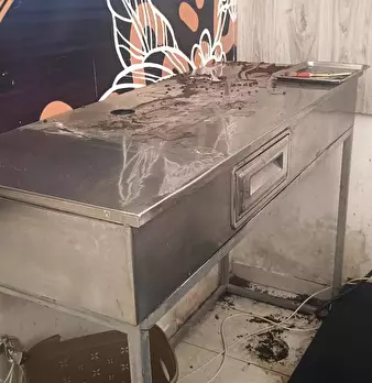 Foto annuncio 10