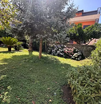 Foto annuncio 34