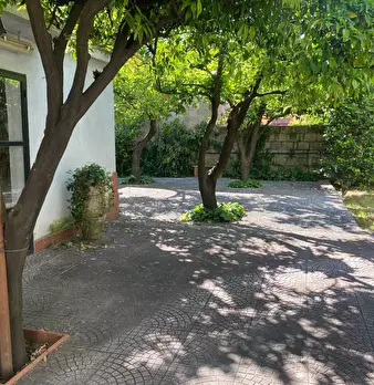 Foto annuncio 57