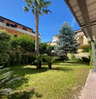 Foto annuncio 62