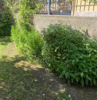 Foto annuncio 63