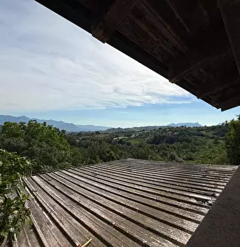 Foto annuncio 44