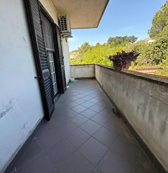 Foto annuncio 51