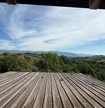 Foto annuncio 69