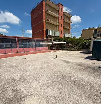 Foto annuncio 9