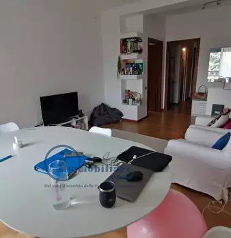 Foto annuncio 8