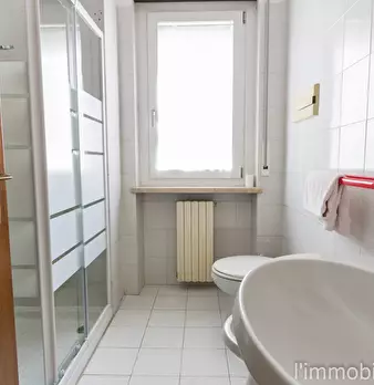 Foto annuncio 12