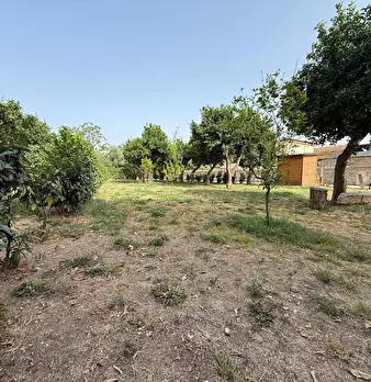 Foto annuncio 23