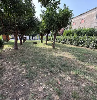 Foto annuncio 29