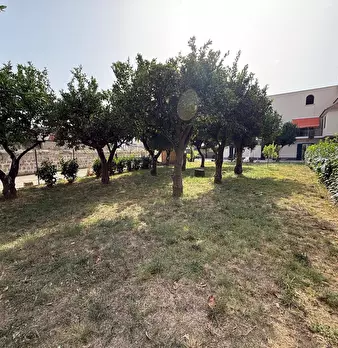 Foto annuncio 30