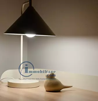 Foto annuncio 31