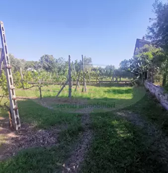 Foto annuncio 8
