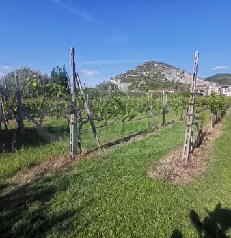 Foto annuncio 11
