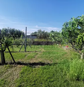 Foto annuncio 18
