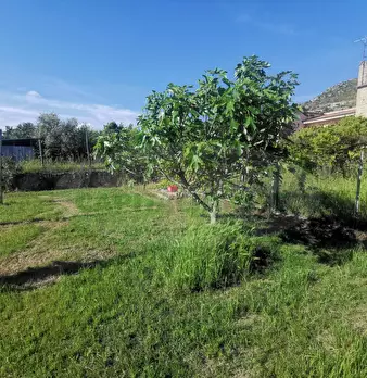 Foto annuncio 20