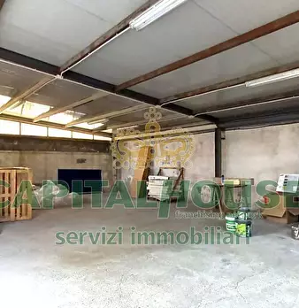Foto annuncio 6