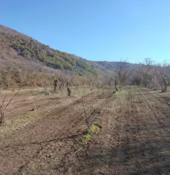 Foto annuncio 4