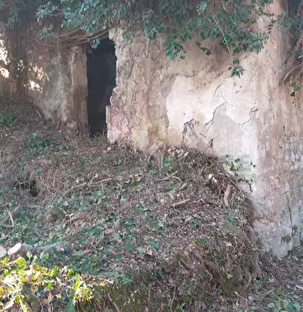 Foto annuncio 3