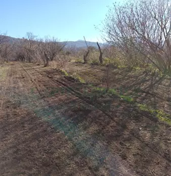 Foto annuncio 6
