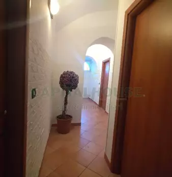Foto annuncio 13