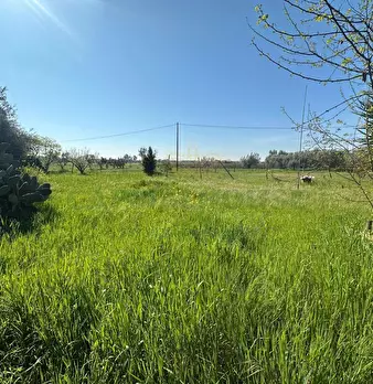 Foto annuncio 2