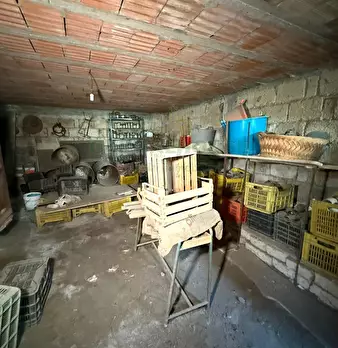 Foto annuncio 25