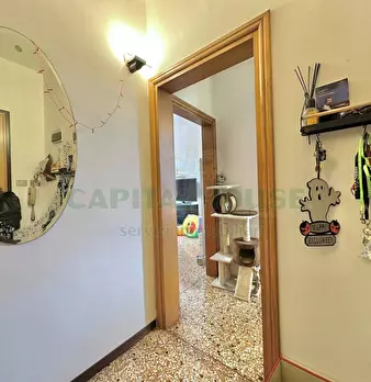 Foto annuncio 4