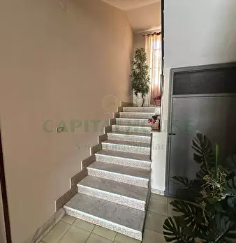Foto annuncio 24