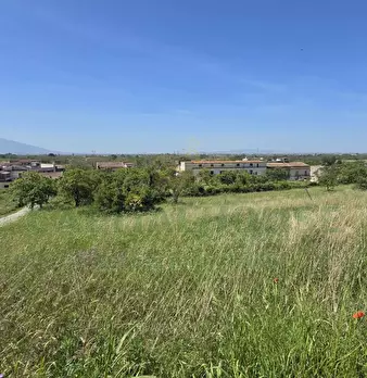 Foto annuncio 11
