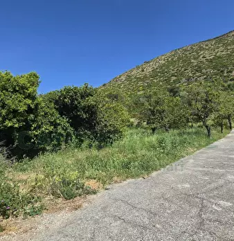 Foto annuncio 12