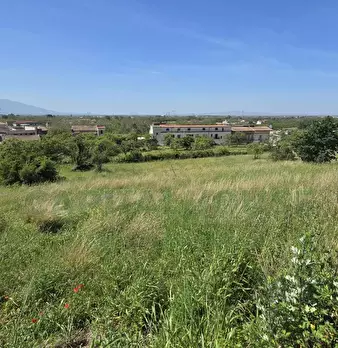 Foto annuncio 13