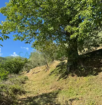 Foto annuncio 4