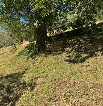Foto annuncio 6