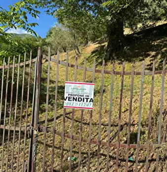 Foto annuncio 12