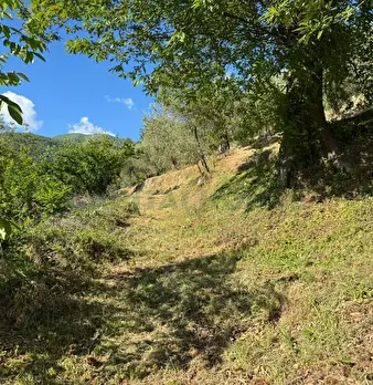Foto annuncio 15