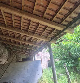Foto annuncio 6