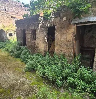 Foto annuncio 9