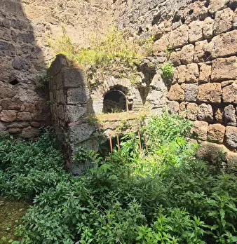 Foto annuncio 10
