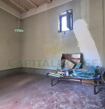 Foto annuncio 43
