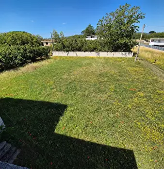 Foto annuncio 5