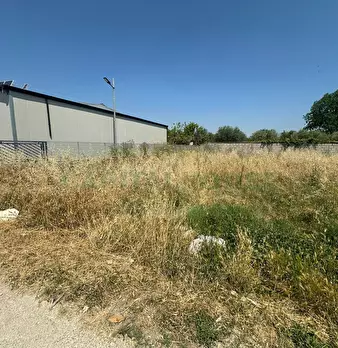 Foto annuncio 8