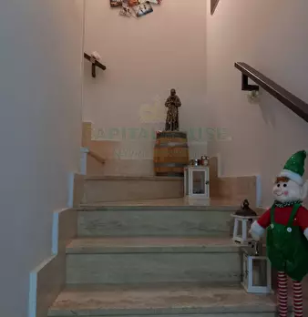 Foto annuncio 29