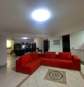Foto annuncio 40