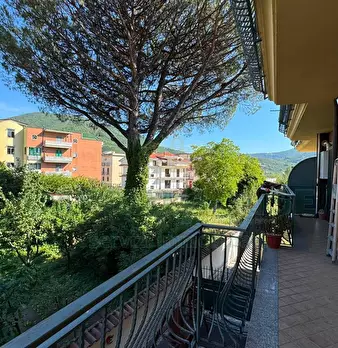 Foto annuncio 7