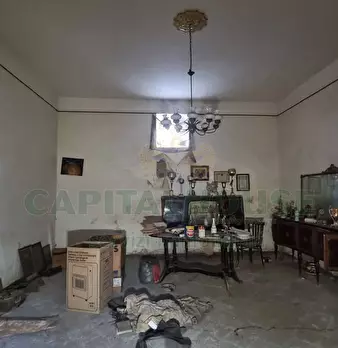Foto annuncio 31