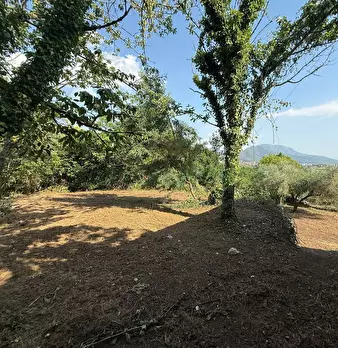 Foto annuncio 4