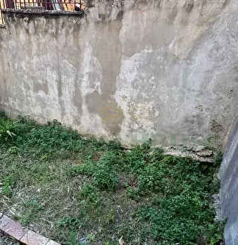 Foto annuncio 26