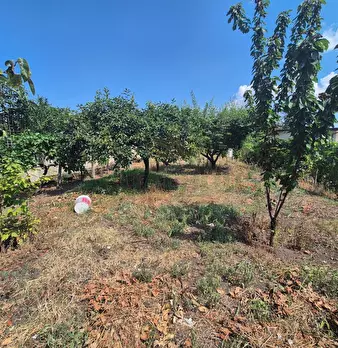 Foto annuncio 6
